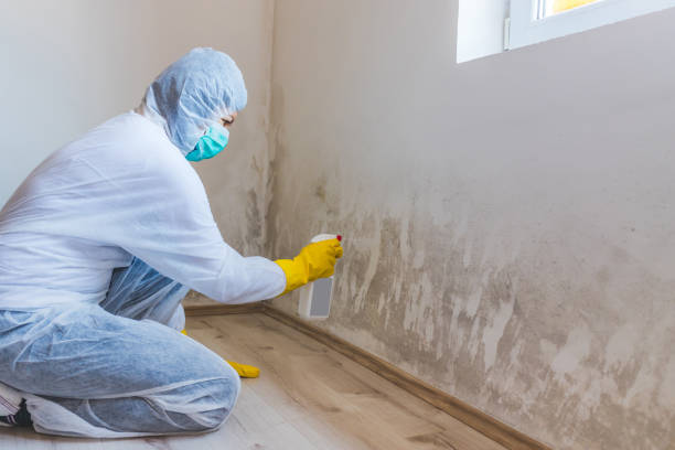 Mold inspector in Farmington performing thermal imaging