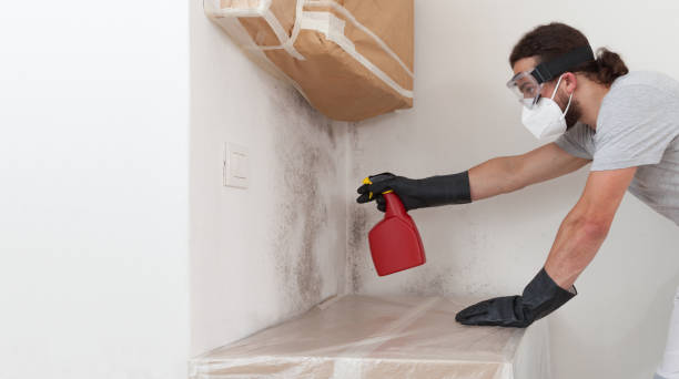 Basement Mold Remediation treatment on basement walls in Farmington